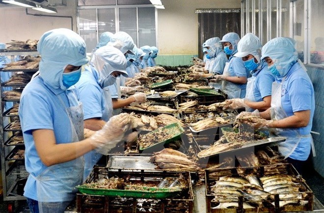 附圖:2018年前兩月越南水產(chǎn)品出口額同比增長(cháng)近30%。(圖片來(lái)源:越通社) 附圖:2018年前兩月越南水產(chǎn)品出口額同比增長(cháng)近30%。(圖片來(lái)源:越通社)